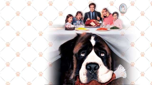 Beethoven, O Magnífico