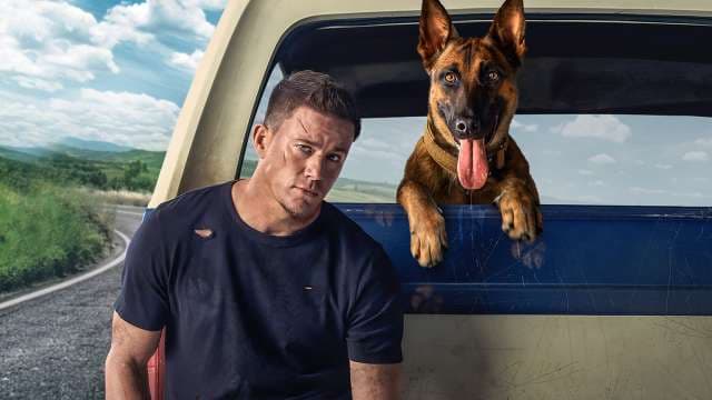 Dog - A Aventura de uma Vida